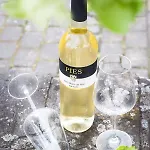 Ellenzer Goldbaeumchen 酒店 埃伦波特道夫