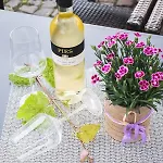 Ellenzer Goldbaeumchen 酒店 3*
