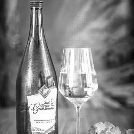 酒店 Ellenzer Goldbaeumchen 3*