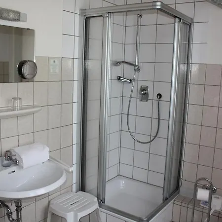 Ellenzer Goldbaeumchen מלון 3*