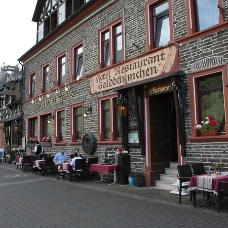 Hotel Ellenzer Goldbäumchen