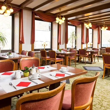 Hotel Ellenzer Goldbäumchen 3*