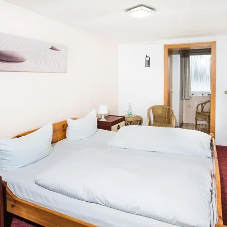 Hotel Ellenzer Goldbäumchen 3*