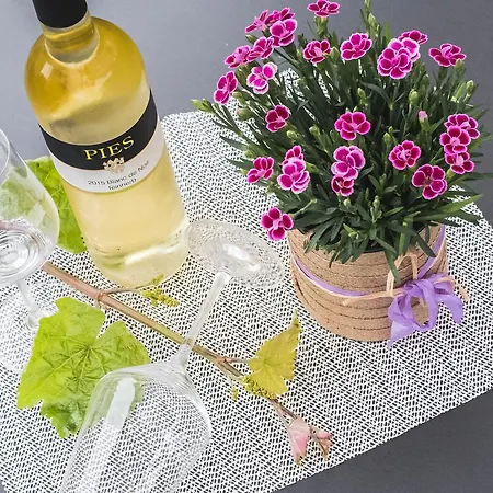 Ellenzer Goldbaeumchen 3* 埃伦波特道夫