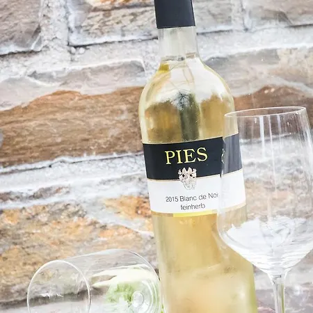 酒店 Ellenzer Goldbaeumchen 埃伦波特道夫