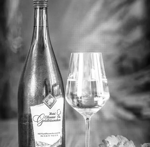 Hotel Ellenzer Goldbaeumchen 3*