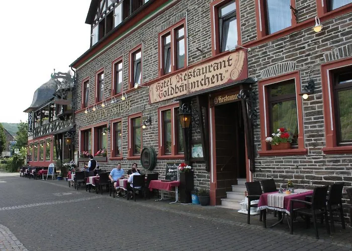 Hotel Ellenzer Goldbaeumchen