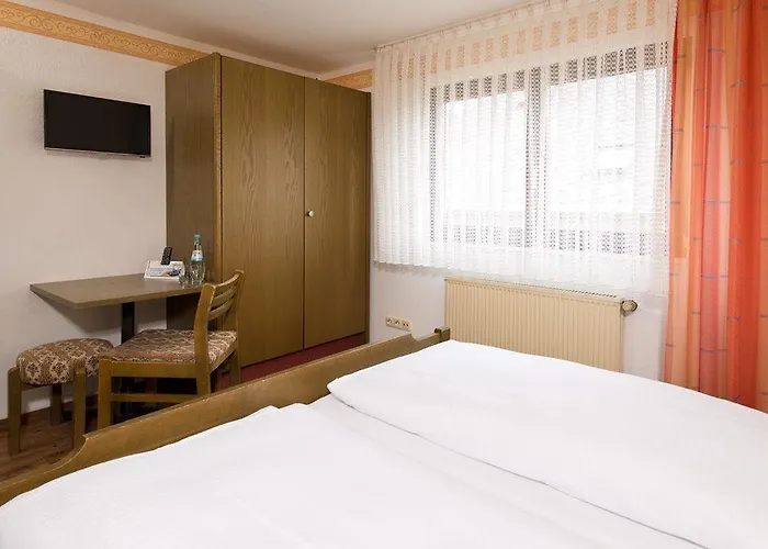 Ellenzer Goldbaeumchen Hotel