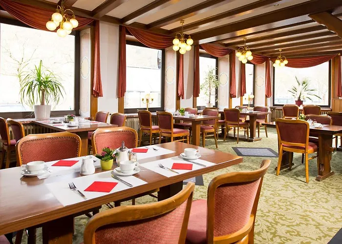 Hotel Ellenzer Goldbaeumchen 3*