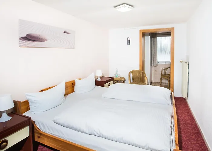 Hotel Ellenzer Goldbaeumchen 3*