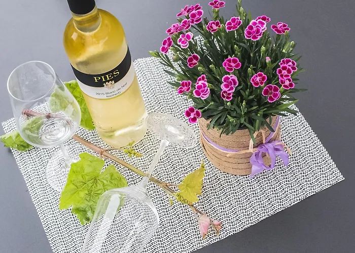 Ellenzer Goldbaeumchen 3* Ellenz-Poltersdorf