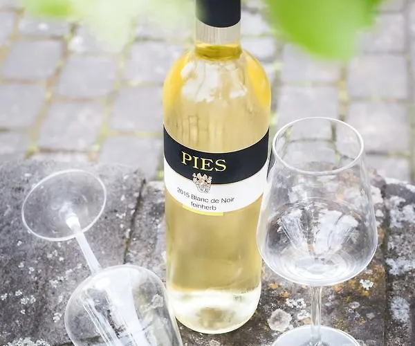 Ellenzer Goldbaeumchen Hotel Ellenz-Poltersdorf