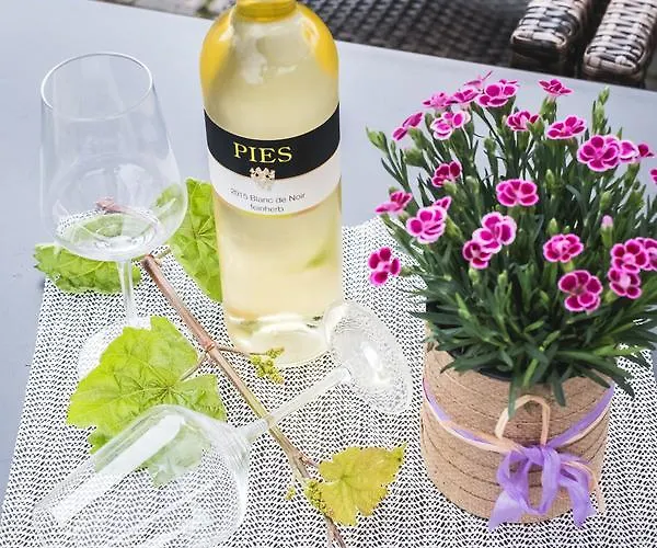 Ellenzer Goldbaeumchen Hotel 3*